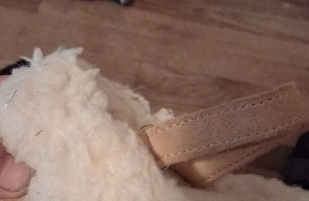 BearPaw Kids Tan Suede Moccasins with Cream Faux Shearling